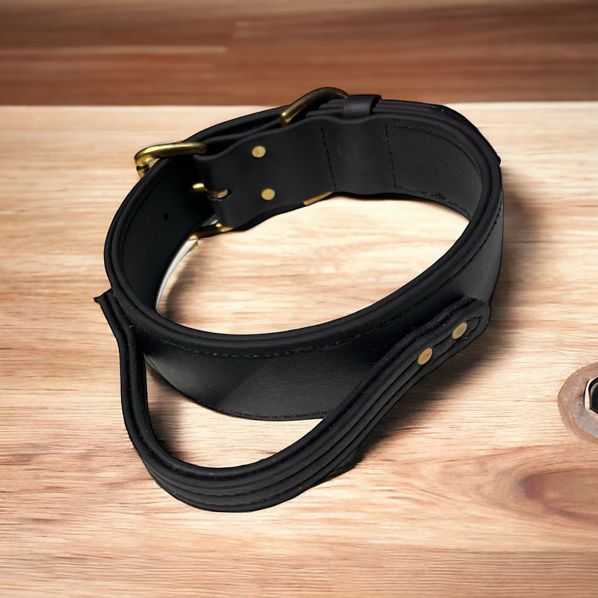 Working Dog Collar - Biothane Dog Collar with Handle