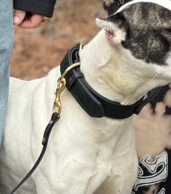 Working Dog Collar - Biothane Dog Collar (Medium: 13" - 17")